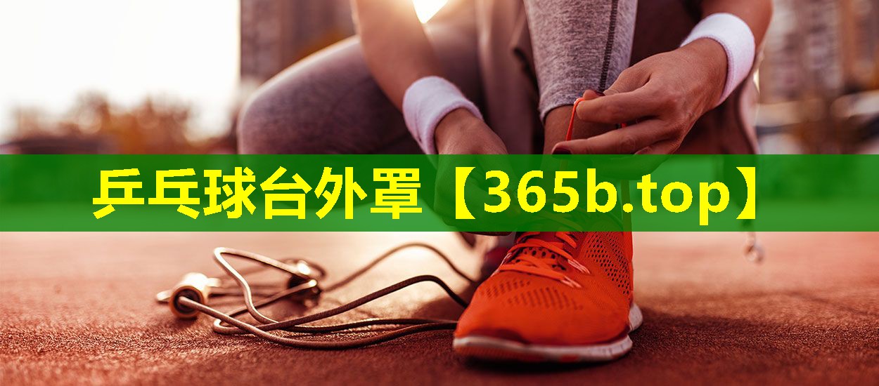 乒乓球台外罩 乒乓球台外罩